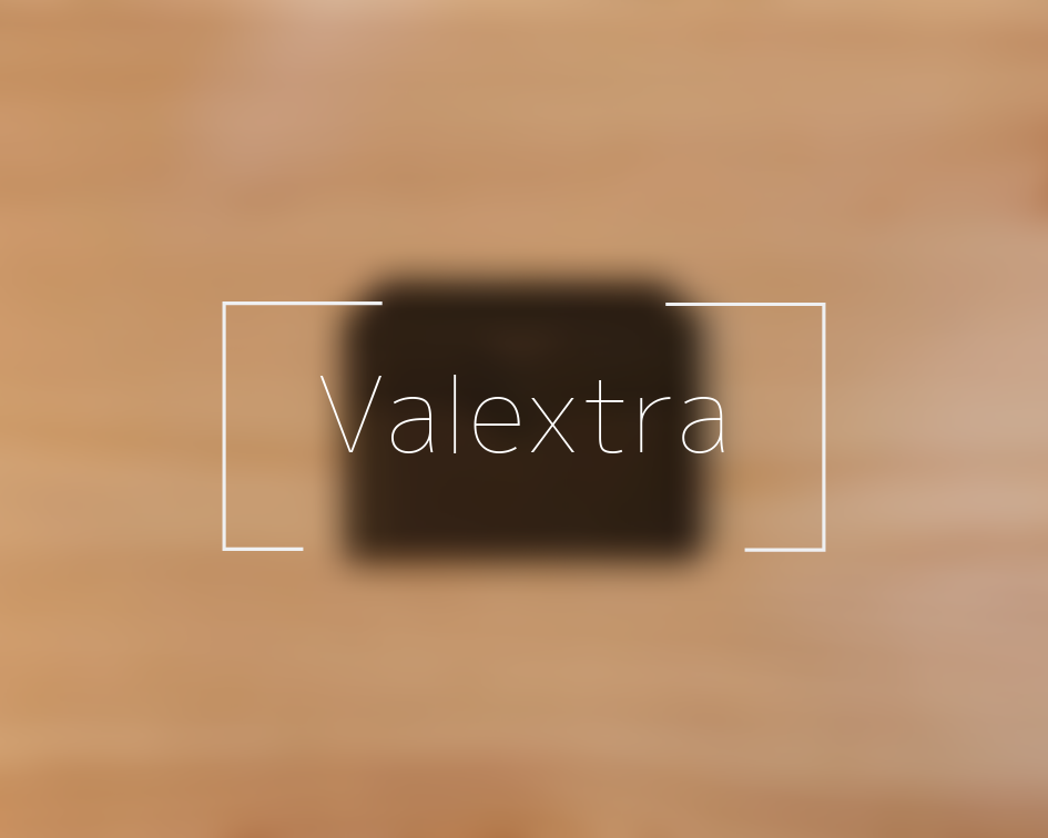 ヴァレクストラのカードケースを紹介します！ | FLOWCHART